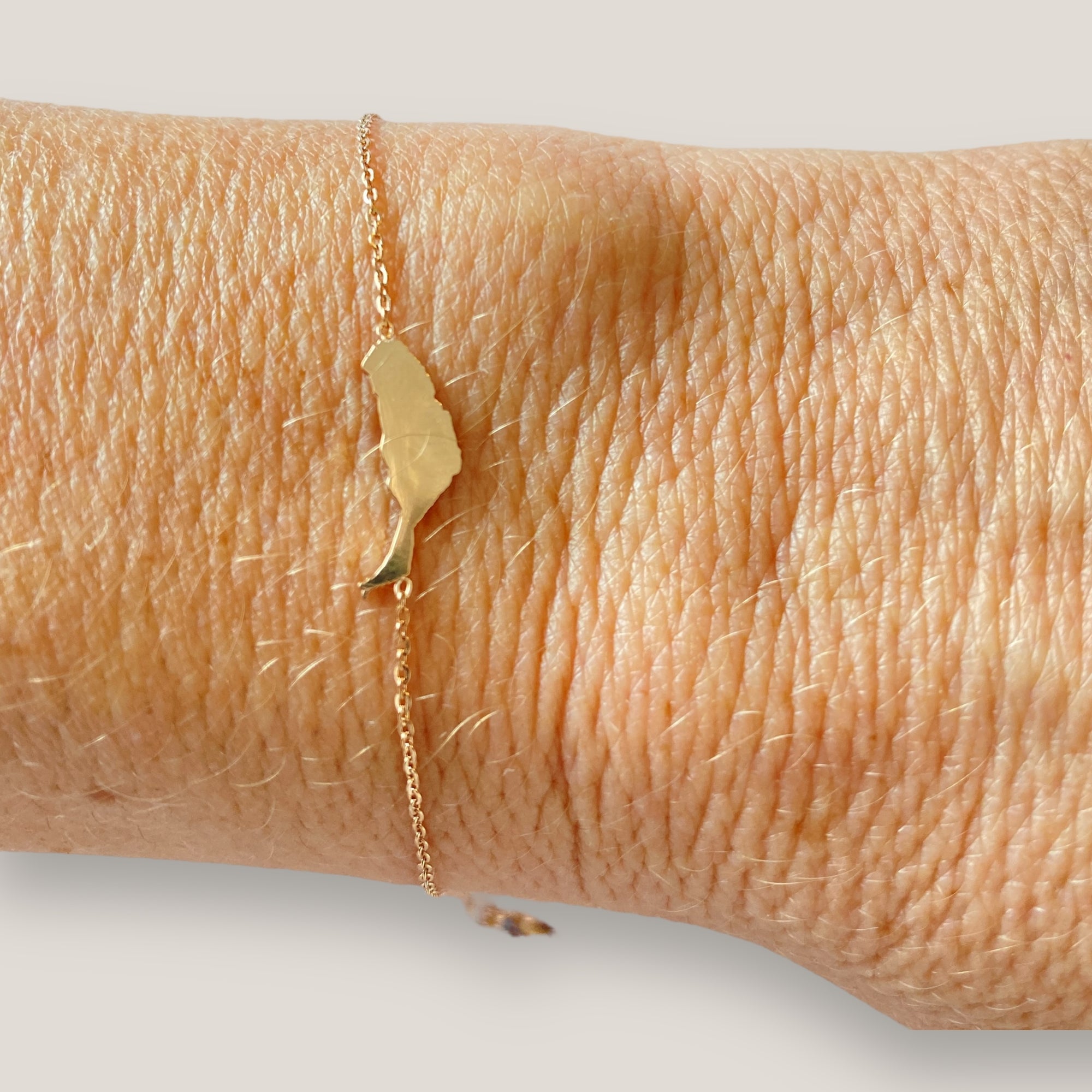 Pulsera isla de Fuerteventura 15mm acero titanio oro rosa con cadena fina soldada