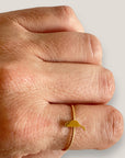 Fuerteventura-Inselring aus 10 mm goldenem Titanstahl mit Kordelring