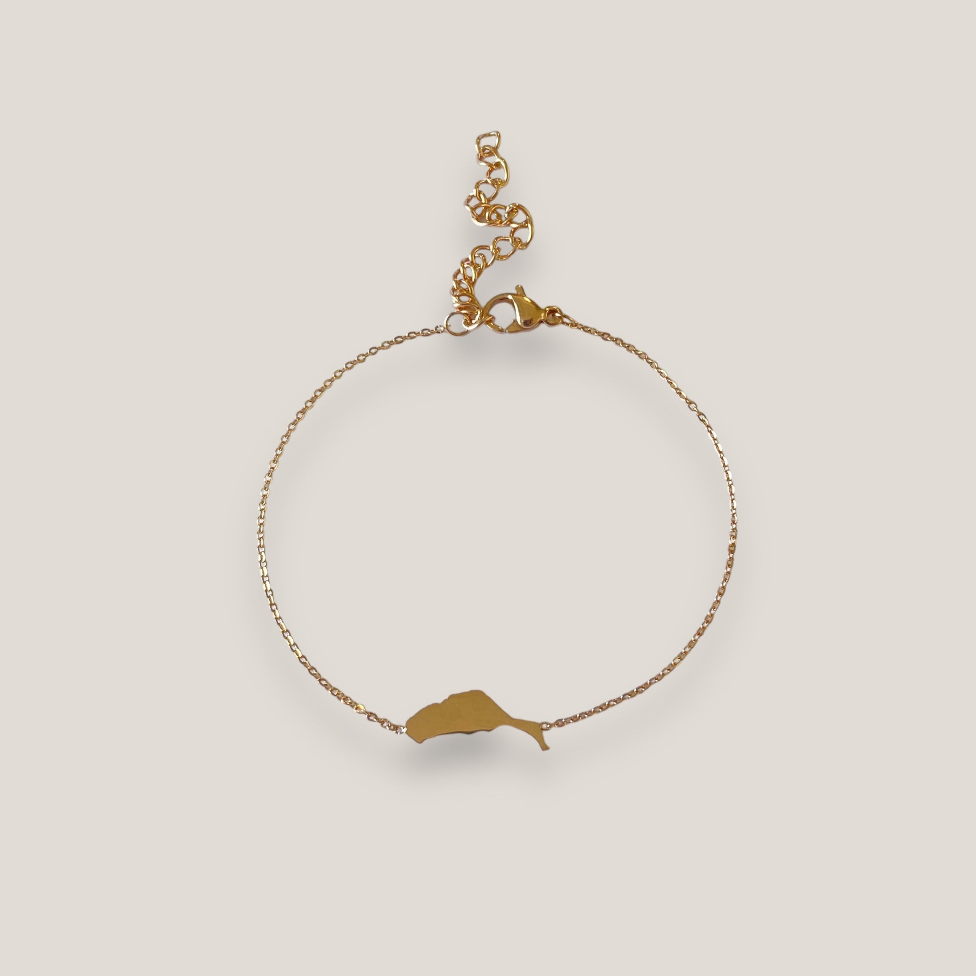 Pulsera isla de Fuerteventura 15mm acero titanio oro rosa con cadena fina soldada