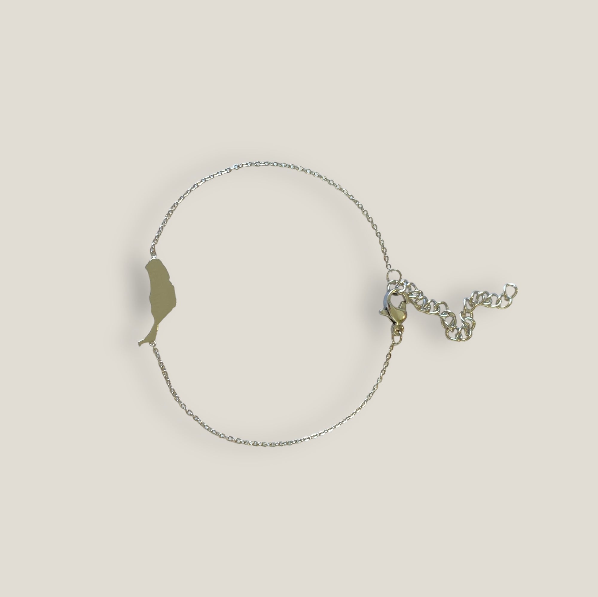 Fuerteventura-Inselarmband, 15 mm Titanstahl mit feiner geschweißter Kette