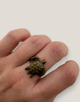 Bronzener Schildkrötenring