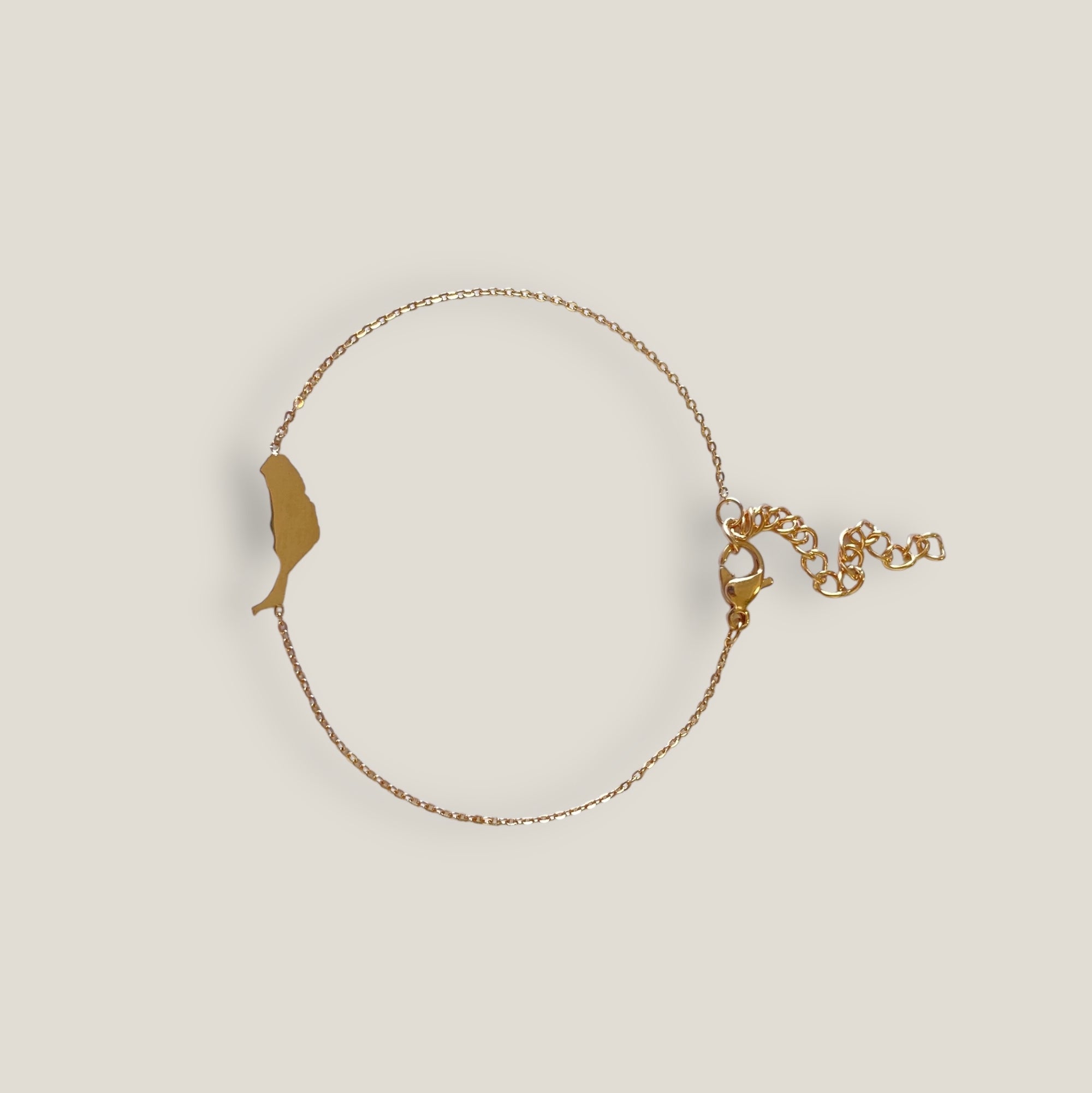Pulsera isla de Fuerteventura 15mm acero titanio oro rosa con cadena fina soldada