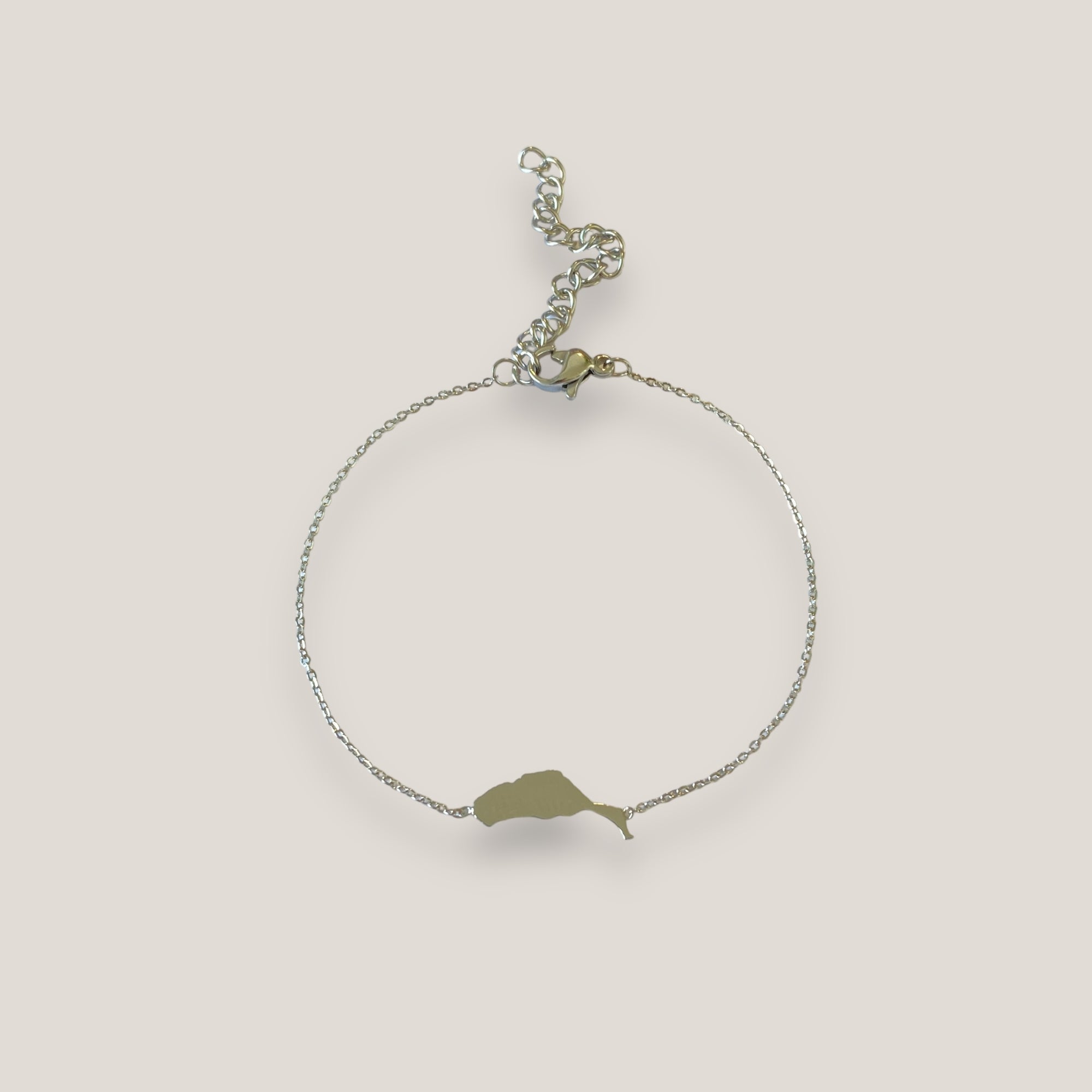 Fuerteventura-Inselarmband, 15 mm Titanstahl mit feiner geschweißter Kette
