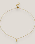 Collar isla de Fuerteventura 10mm acero titanio oro con cadena fina soldada