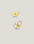 Pendientes gancho acero oro flor Plumeria blanca amarilla howlitas naturales