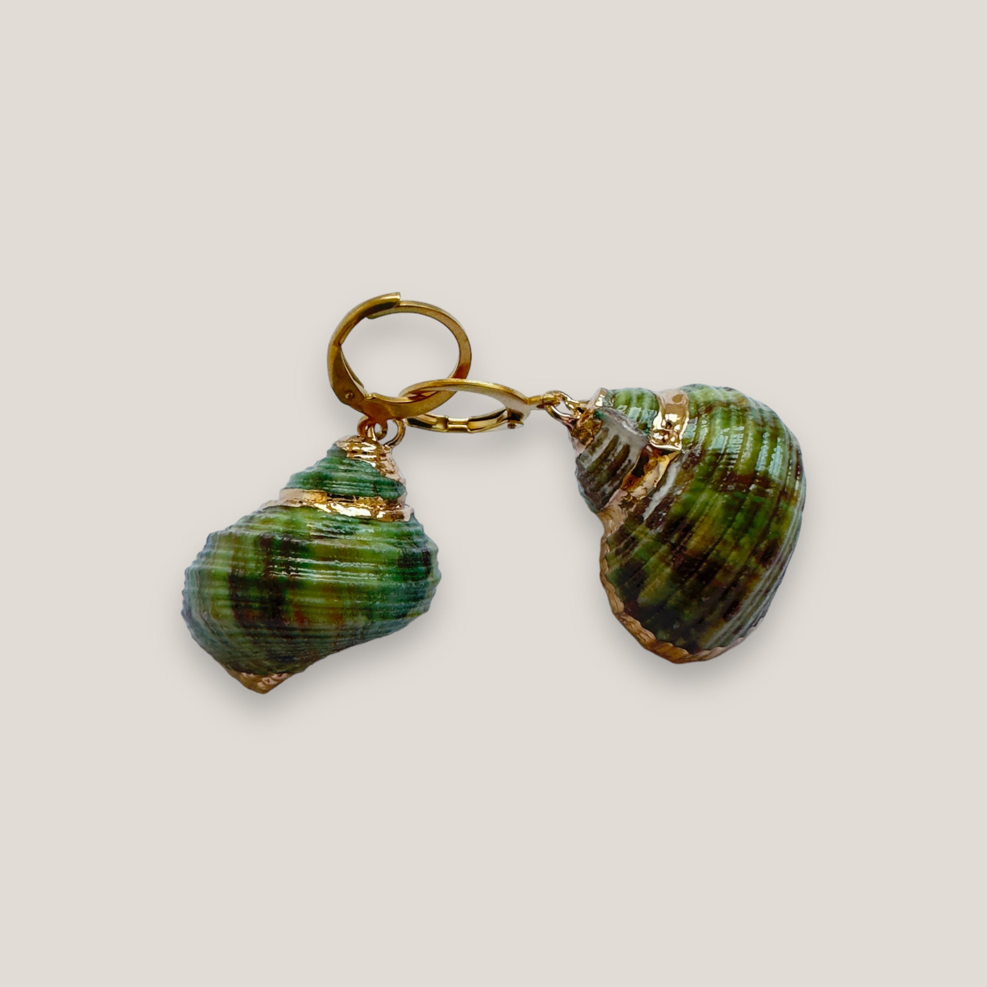 Creolen mit grünen Muscheln und Goldrändern