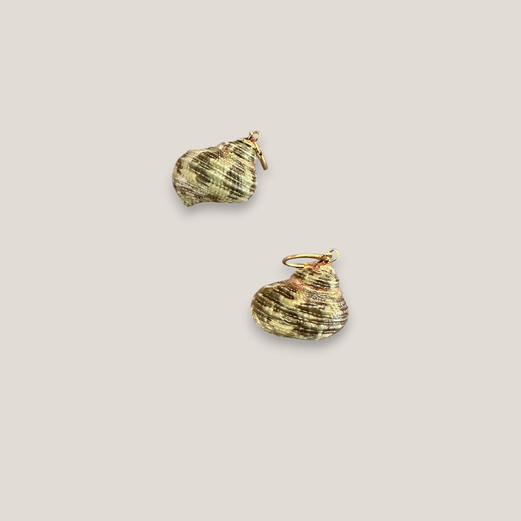 Creolen mit grünen Muscheln und Goldrändern
